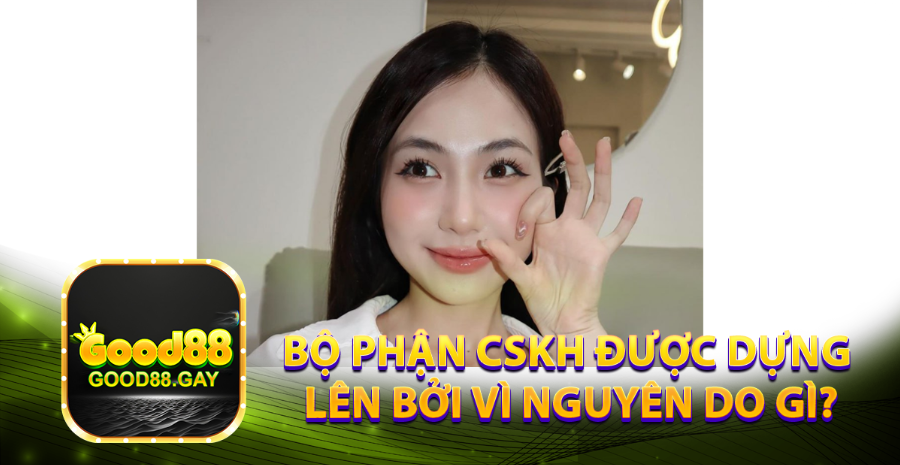 Bộ phận CSKH được dựng lên bởi vì nguyên do gì?